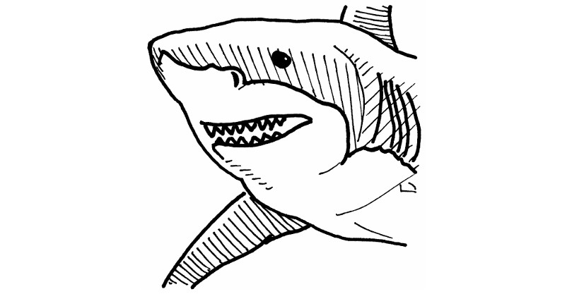 shark