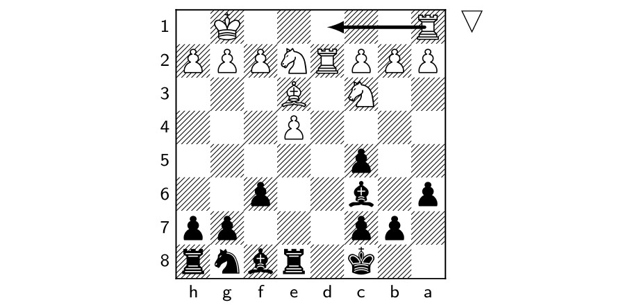 position before rhododendron