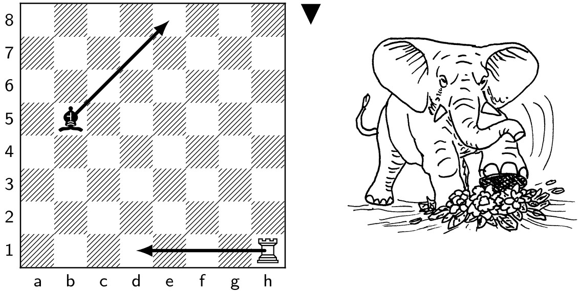 elephant rhododendron