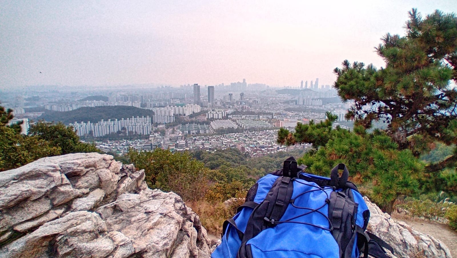 view-from-lone-pine-tree