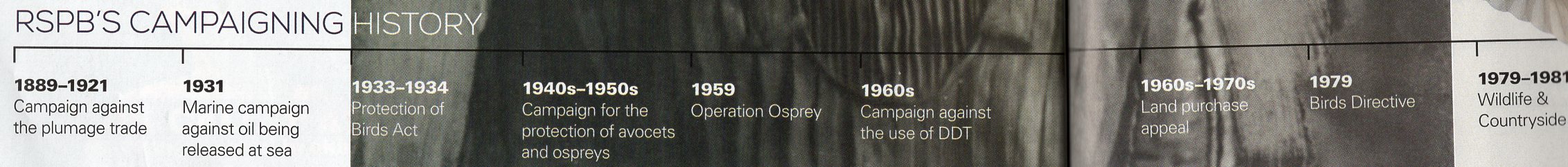 RSPB timeline